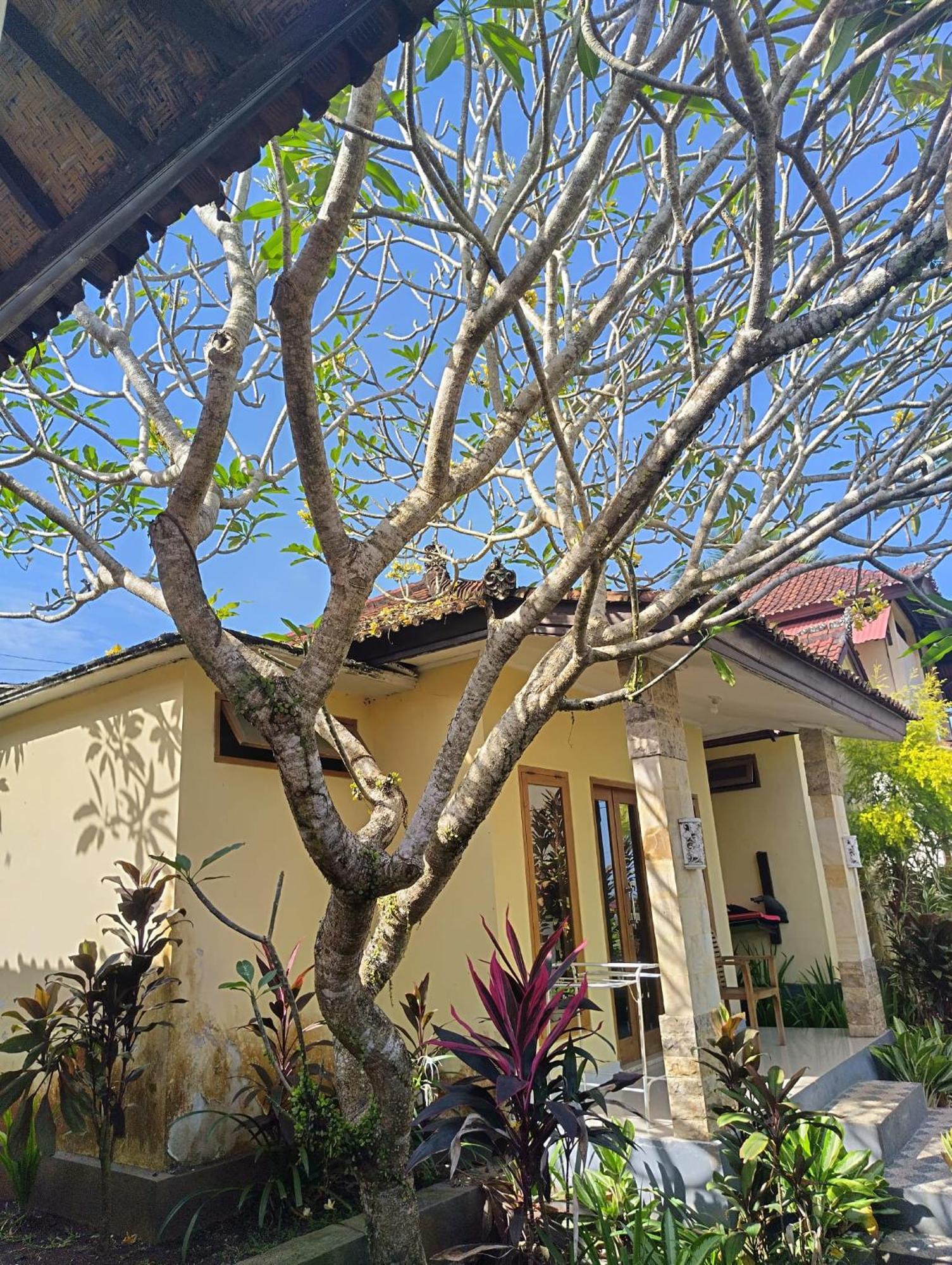 Kirra'S Beach House Pulukan Bagian luar foto